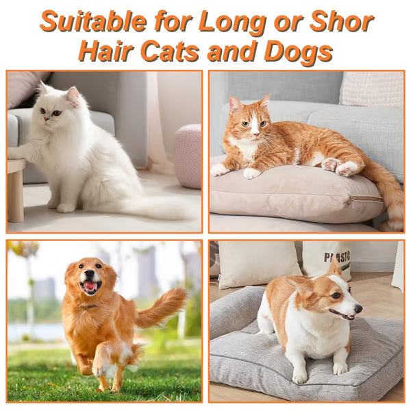 🔥Pet Steam Brush