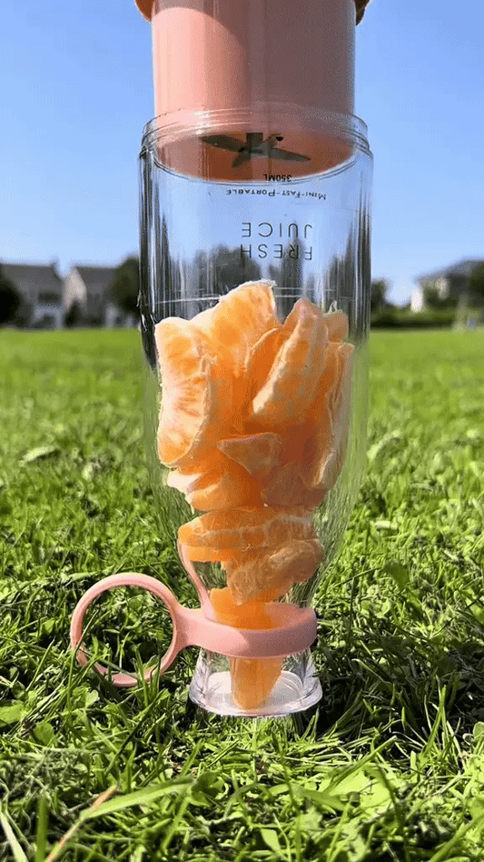 Portable Mini Blender