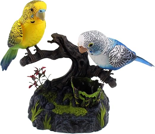 Birds decor, as they look real with their realistic movements and unique chirps, repeating any words they hear